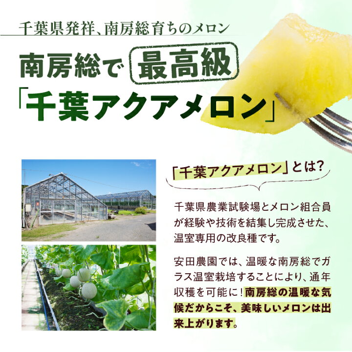 楽天市場】【ふるさと納税】 南房総市産アクアメロン（マスクメロン）1  