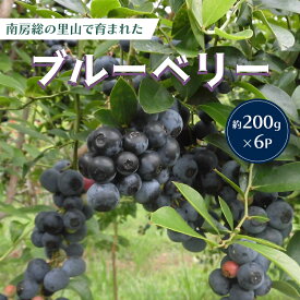 【ふるさと納税】 【先行受付 2026年7月中旬から順次発送予定】約200g×6パック　南房総の里山で育まれたブルーベリー 千葉県 南房総市 果物 フルーツ パック 冷蔵 完熟 お取り寄せ グルメ 送料無料