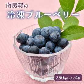 【ふるさと納税】 【先行受付 2026年8月中旬～12月20日発送予定】南房総の冷凍ブルーベリー 250g×4パック 千葉県 南房総市 果物 フルーツ パック 完熟 栽培期間中農薬不使用 お取り寄せ グルメ 送料無料
