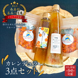 �y�ӂ邳�Ɣ[�Łz�J�����f�����h���C�n�[�u���\�[�X���h���b�V���O�Z�b�g ��t�� ��[���s ���񂹂�� ���I �t���[�c�\�[�X �H�[ ���i�Â���O�����v�� �p�X�^ �}���l ��������