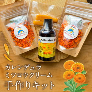 �y�ӂ邳�Ɣ[�Łz �J�����f�����~�c���E�N���[������L�b�g ��t�� ��[���s �h���C�n�[�u �J�����f�����I�C�� �~�c�o�` ���� �N���[�� �n���h���C�h �Z�b�g ��������