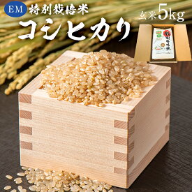 【ふるさと納税】 【2025年9月1日以降発送予定】玄米　EM特別栽培米こしひかり5kg【2025年産】 千葉県 南房総市 米 お米 コシヒカリ ブランド米 ごはん 食品 玄米 早期配送 国産米 国産 送料無料