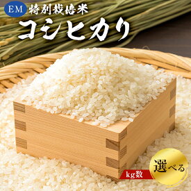 【ふるさと納税】【2025年9月1日以降発送予定】【kg数が選べる】白米　EM特別栽培米こしひかり【2025年産】 千葉県 南房総市 米 お米 コシヒカリ ブランド米 おにぎり ごはん 食品 精米 早期配送 国産米 国産 送料無料