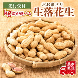 【ふるさと納税】【kg数が選べる】【先行受付 2025年9月中旬～11月中旬発送予定】おおまさり 生落花生 農家直送 千葉県 南房総市 大粒 やわらかい おつまみ おやつ ピーナッツ 塩茹で 新鮮 送料無料