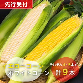 【ふるさと納税】 【先行受付 2026年6月中旬～7月下旬発送予定】 トウモロコシ イエローコーン ホワイトコーン それぞれ4～5本ずつ 計9本 千葉県 南房総市 野菜 とうもろこし セット 詰合せ 甘味 焼とうもろこし 送料無料