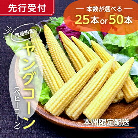 【ふるさと納税】 【先行受付 2026年6月上旬～7月中旬発送予定】数量限定！ヤングコーン(ベビーコーン） 【本数が選べる】 千葉県 南房総市 野菜 バター醤油 炒め物 皮付き 髭付き サラダ 生野菜 コーン お取り寄せ グルメ 送料無料