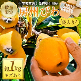 【ふるさと納税】 【先行受付 2026年5月下旬～6月中旬発送予定】≪訳あり≫ 生産者直送 房州びわ1キロ袋入り（多少きずあり） 千葉県 南房総市 大粒 果肉が甘い 軟らかい ジューシー カロテン 食物繊維 栄養素 豊富 甘酸っぱい 送料無料