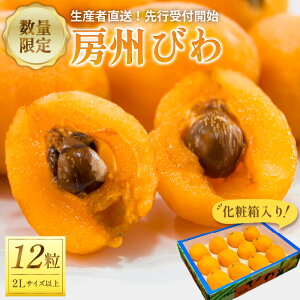 yӂ邳Ɣ[Łz yst 2026N5{`6{\z[Bт2LTCYȏ×12iϔj t [s 嗱 ʓÂ 炩 W[V[ Je H@ h{f 