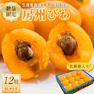 yӂ邳Ɣ[Łzyst 2026N5{`6{\z[Bт3LTCYȏ×12iϔj t [s 嗱 ʓÂ 炩 W[V[ Je H@ h{f 