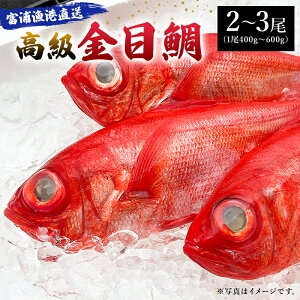 yӂ邳Ɣ[ŁzxY`uڑv t [s O  VN VR  hg O ϕt Ă ϕ  