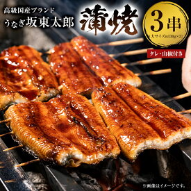 【ふるさと納税】国産 うなぎ 「坂東太郎 使用」 蒲焼 3串 大サイズ 130g前後×3串 のし対応可能 千葉県 南房総市 ブランドうなぎ 大きい 備長炭 脂っぽくない さっぱり 真空パック 冷凍