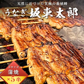 【ふるさと納税】 国産 うなぎ 「坂東太郎 使用」 蒲焼 5串 小サイズ 80g前後×5パック のし対応可能 千葉県 南房総市 ブランドうなぎ 備長炭 脂っぽくない さっぱり 職人 真空パック 冷凍