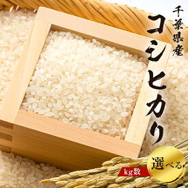 【ふるさと納税】【2025年9月1日以降発送予定】【kg数が選べる】白米　千葉県産こしひかり【2025年産】 千葉県 南房総市 米 お米 コシヒカリ ブランド米 おにぎり ごはん 食品 精米 早期配送 国産米 国産 送料無料