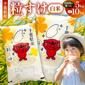 【ふるさと納税】 【内容量が選べる】【2025年度産】【新米】　千葉県産粒すけ 白米 千葉県 南房総市 粒すけ 米 お米 新米 精米 ごはん ご飯 白米 おにぎり お弁当 和食 洋食 中華 料理 送料無料