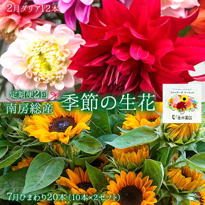 yӂ邳Ɣ[Łz[YG߂̐2ցi2F_A12{A7FЂ܂20{j t [s t[ A ϗtA ԑ ؂  ܂ R  H ؗ D Ci  
