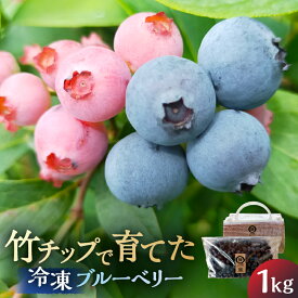 【ふるさと納税】【南房総産・特別なブルーベリー】竹チップで育てた、冷凍ブルーベリー 1kg 千葉県 南房総市 果物 フルーツ ブルーベリー 冷凍 竹チップ アレンジ ヨーグルト ジャム ソース 送料無料
