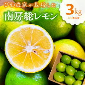 【ふるさと納税】【TVで紹介！】びわ農家が栽培した 南房総レモン 3kg 千葉県 南房総市 ちばエコ農産物 ユーレカ 調味料 果物 フルーツ グリーンレモン イエローレモン 柑橘 お取り寄せ グルメ 送料無料