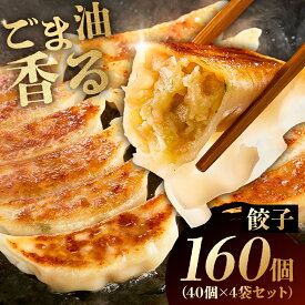 【ふるさと納税】 【内容量が選べる】 餃子 千葉県 南房総市 国産 豚肉 鶏肉 焼き餃子 揚げ餃子 水餃子 ごま油 おつまみ おかず もっちり皮 中華 惣菜 詰合せ お取り寄せ グルメ 送料無料