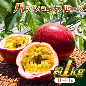 【ふるさと納税】【2025年8月上旬～9月中旬発送予定】【TVで紹介！】パッションフルーツ1kg（11～14個） 千葉県 南房総市 果物 フルーツ パッションフルーツ 甘味 酸味 トロピカル ヨーグルト アイス ギフト 送料無料