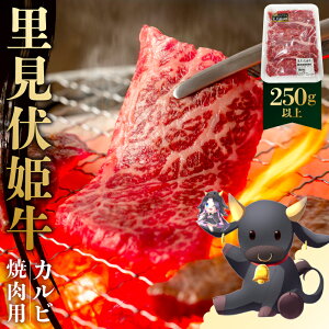 yӂ邳Ɣ[Łz P@Jrēp250gȏ t [s   Jr ēp BBQ Xe[L no[O [Xgr[t RbP Ԑg Y  O 