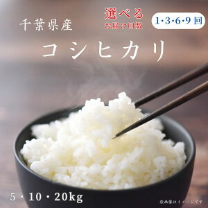 yӂ邳Ɣ[Łz  Iׂ񐔁Ee/ ߘa7NY tYu RVqJ v xsY   R ͂      5kg 10kg 20kg  t