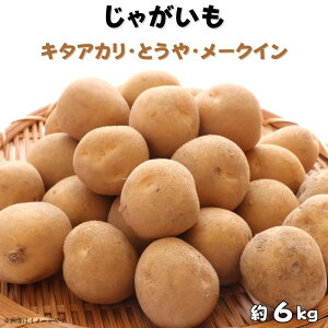 【ふるさと納税】じゃがいも3種食べ比べ(キタアカリ・とうや・メークイン)計約6kg / じゃがいも ジャガイモ 馬鈴薯 キタアカリ とうや メークイン いも イモ 芋 詰合せ 食べ比べ 産地直
