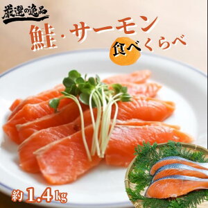 yӂ邳Ɣ[ŁzT[Eam4 Hה׃Zbg   TP Ⴏ T[ ؂g Jbg X[NT[ Ђ XЂ Mtg  p 蕨 lߍ킹 Ⓚ 