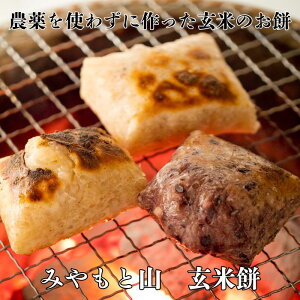 yӂ邳Ɣ[Łz_g킸ɍ100̌Ė݁i2026Nj ^   `   Ė Ă ؂ ݂ƎR t xs 