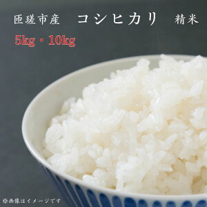 yӂ邳Ɣ[ŁzRVqJ@ā@5`10kg ^   R   RVqJ Ђ ߘa7N V   ͂ 5kg   Yn