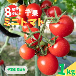 yӂ邳Ɣ[Łz~jg}g i  ) 1kg ^ ~jg}g g}g t[cg}g  