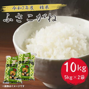 【ふるさと納税】 令和7年産 ふさこがね 精米 10kg ( 5kg × 2 ) 新米 千葉県 匝瑳市 / 米 こめ コメ お米 ごはん ご飯 精米 白米 10kg 5kg ふさこがね 令和7年産 新米 JA 農協 ちばみどり ちばみど