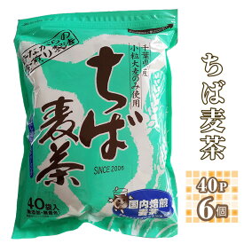 【ふるさと納税】No.250 ちば麦茶40ティーパック入り6個 ／ 大麦 焙煎 お茶 送料無料 千葉県