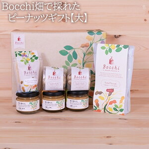 【ふるさと納税】Bocchi畑で採れたピーナッツギフト【大】 / ペースト からつき なめらか 送料無料 千葉県
