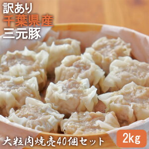 yӂ邳Ɣ[Łz󂠂@tYO؁@嗱Ĕ40Zbg@2kg ^ イ܂ VE}C W[V[ ` H׉  t