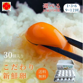 【ふるさと納税】\ 選べる回数 / 九十九里ファームこだわりたまご贈答用30個〜あおい海・みどりの里〜《白玉》 卵 タマゴ 玉子 たまご こだわり 新鮮 旨み 甘み 卵白 卵黄 ゆで卵 卵かけご飯 TKG たまごかけごはん エッグ 送料無料 千葉県