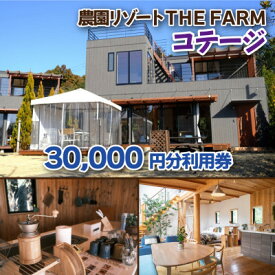 【ふるさと納税】コテージ宿泊にも使えるTHE FARM利用券【配送不可地域：離島・沖縄県】【1422344】