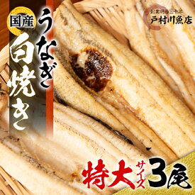 【ふるさと納税】戸村川魚店の 国産 うなぎ 白焼き 特大 サイズ 3尾 セット _ ウナギ 鰻 肉厚 蒲焼 蒲焼き かば焼き たれ 山椒 【配送不可地域：離島・沖縄県】【1040828】