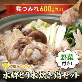 【ふるさと納税】野菜付き！水郷どり水炊き鍋セット（鶏つみれ650g付き）【 ふるさと納税 人気 おすすめ ランキング もも むね肉 肉 とりにく 鳥 鳥肉 お肉 水炊き 鍋 食品 セット 専門店 詰合せ 詰め合わせ 詰合 千葉県 香取市 送料無料 】KTRJ003