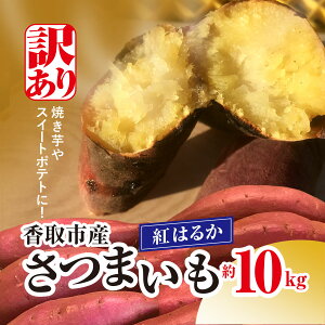 yӂ邳Ɣ[Łzystzy󂠂zsY ܂g͂邩 10kg×1 KTRW003