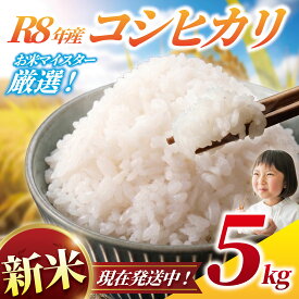 【ふるさと納税】 新米 コシヒカリ 5kg 【 精米 】【 玄米 】 数量限定 5キロ 一等米 白米 令和8年産 米 お米 米5kg こめ コメ おこめ オコメ okome kome 千葉県産 こしひかり コシヒカリ しんまい 新米 農家直送 産地直送 ※ R8年産 2026年産 千葉県 香取市