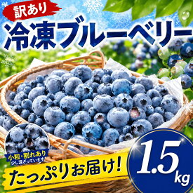 【ふるさと納税】〈訳あり〉 ブルーベリー 冷凍 約1.5kg 冷凍ブルーベリー ぶるーべりー 冷凍フルーツ 国産 冷凍果物 産地直送 果物 フルーツ くだもの 完熟 お取り寄せ 10000円 1万円 訳アリ 訳有 訳有り 人気 おすすめ 千葉県 香取市 SBF001