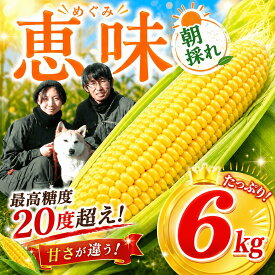 【ふるさと納税】 とうもろこし 6kg 【先行予約】【2027年発送分】《 最高糖度20度 》トウモロコシ 朝採れ 野菜 とうもろこし コーン スイートコーン めぐみ 恵味 夏野菜 人気 おすすめ とうきび 高評価 高糖度 糖度 新鮮 あさどれ 朝採れ 数量限定 千葉県 香取市 SBF002_X1