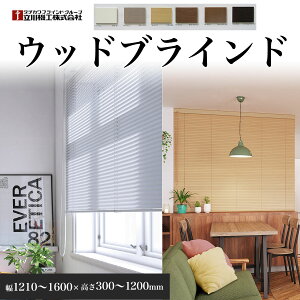 yӂ邳Ɣ[ŁzEbhuCh@1210`1600×300`1200mm ^ tI[_[ Ռ ՔM ؐ |[  t SMBF003