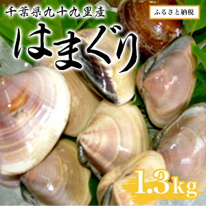 yӂ邳Ɣ[Łzt\㗢Y͂܂1.3kg ^  L n}O Y ς  t SMAR001