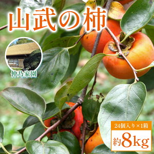 yӂ邳Ɣ[Łzys\2025N10{JnzR̊` 8kg(24×1) y ӂ邳Ɣ[ lC  LO `  JL ʕ t[c H̖o {̉ʕ  t