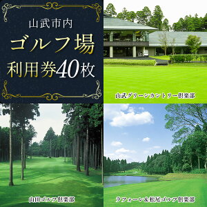yӂ邳Ɣ[ŁzyRszStꗘp40 {ݗp St  GOLF St p Stꗘp Stv[ Stv[ v[ Stv[ R[Xp 