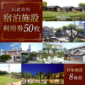 【ふるさと納税】【山武市内】宿泊施設利用券50枚 宿泊券 宿泊チケット 宿泊利用券 チケット 旅行 旅行券 宿泊 施設利用券 千葉県 山武市 SMBJ029