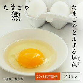 【ふるさと納税】3ヶ月定期便 たまごやとよまる 煌黄20個 SMAS004 ／ ふるさと納税 定期便 たまご 卵 玉子 料理 千葉県 山武市