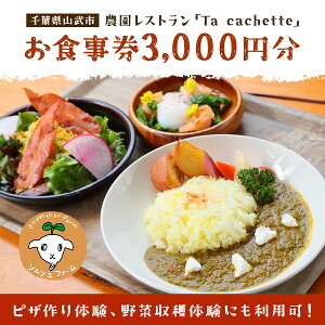 yӂ邳Ɣ[Łz sǓA؎ňɂpI _XguTa cachettevH3,000~ ^ ̌ `Pbg  l sU p t Rs SMBP001