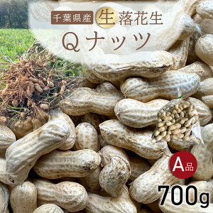 yӂ邳Ɣ[Łz ystE9{菇IzQibc Ԑ 700g ^ӂ邳Ɣ[ Ԑ  Ԑ Qibc QȂ Ai Vi  { Gߌ  ΂ Â 